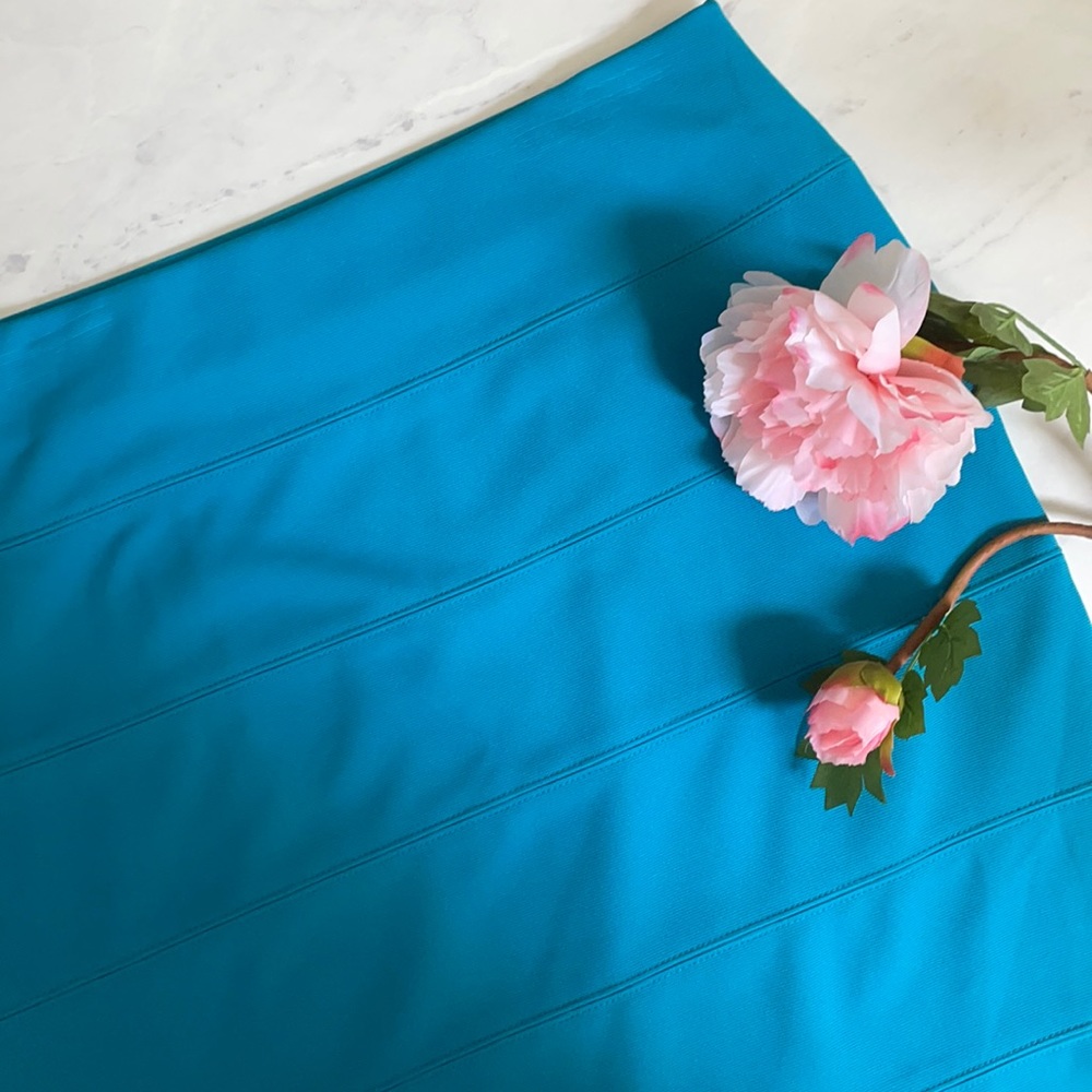 Alfani Petite Skirt L